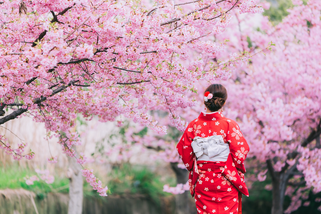 cherry-blossom_Japan_cruise_Blondes