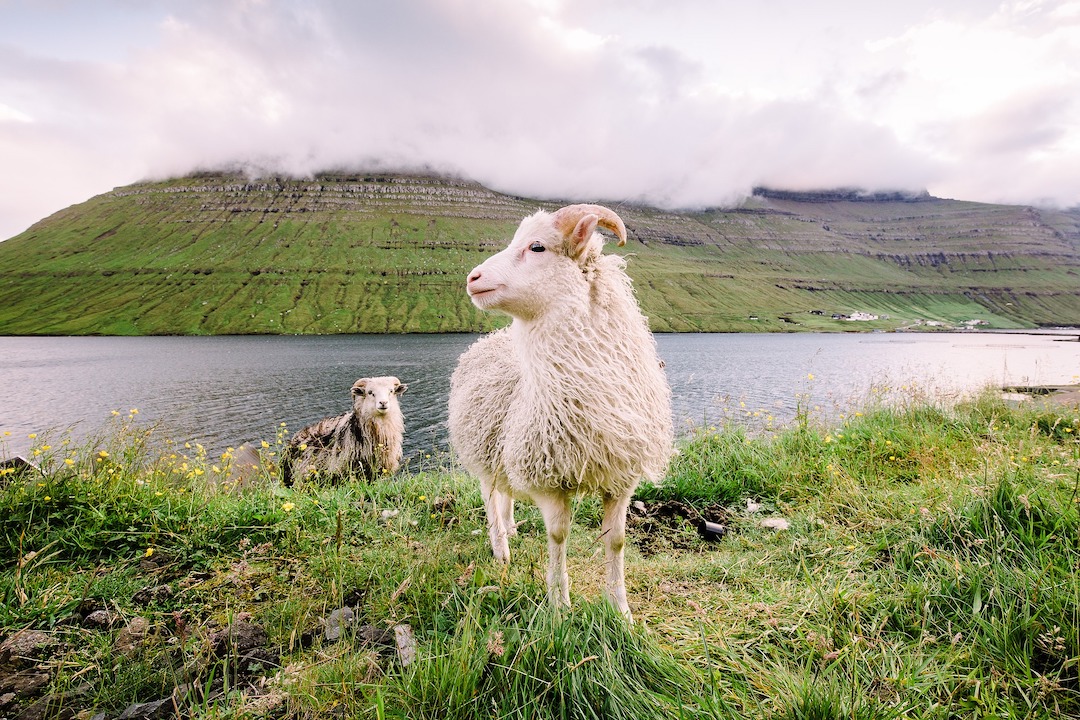 Faroe_Islands_Cruise_Blondes_James_Bond