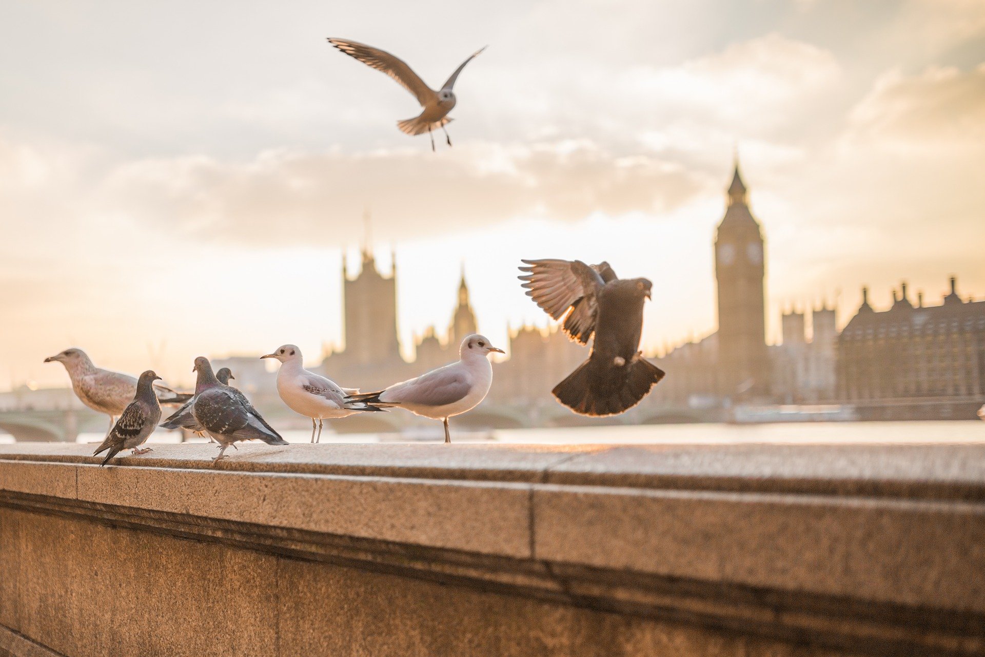 London_Parliament_Big_Ben_James_Bond_Criuise_Blondes