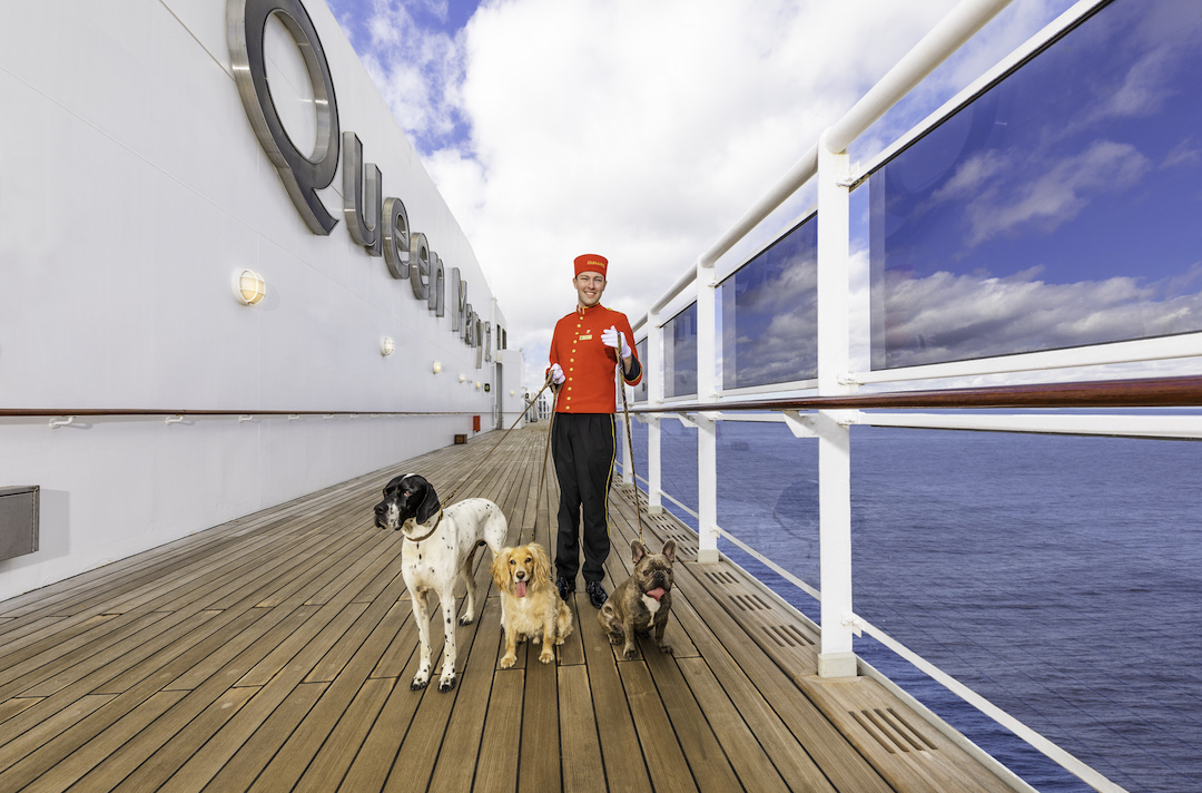bellhop onboard cunard walking dogs transatlantic crossing
